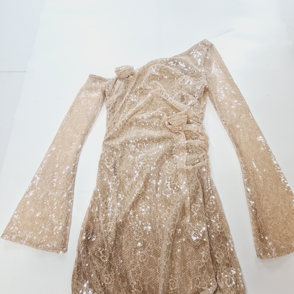 LPA Aniella Gown in Champagne - Picture 4 of 14